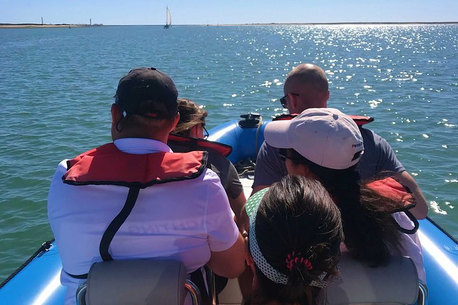 1 or 2 Hour Speed Boat Tour - Ria Formosa - Entering Ria Formosa Natural Park: Barrier Islands, Inlets, and Birds