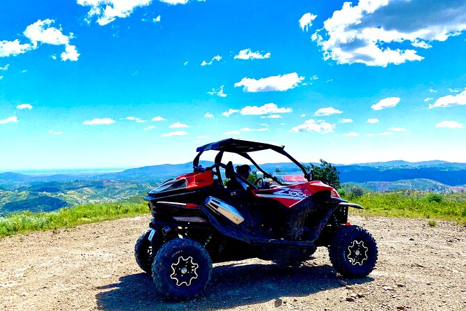 2:30 Hours Tour - What this 2.5-hour buggy safari is really like