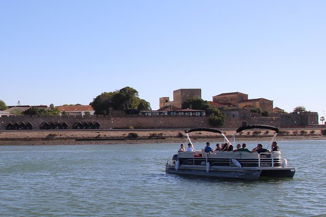 2-hour Bird Watching Guided Boat Trip in Ria Formosa from Faro Algarve - Ria Formosa bird watching from Faro: why 2 hours hits the sweet spot