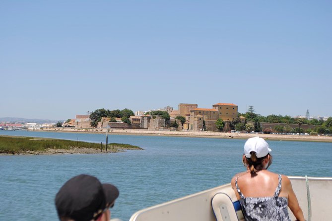 2-hour Bird Watching Guided Boat Trip in Ria Formosa from Faro Algarve - Meeting at Pure Nature Store and boarding the pontoon boat