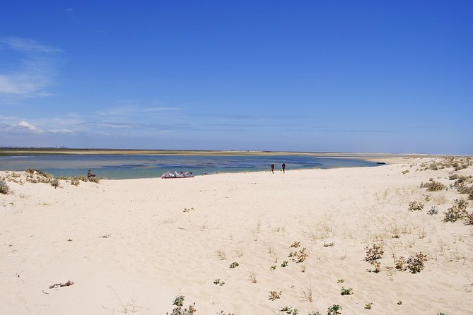 2-hour Bird Watching Guided Boat Trip in Ria Formosa from Faro Algarve - Faro old-town views to end: how the route makes the return feel worthwhile