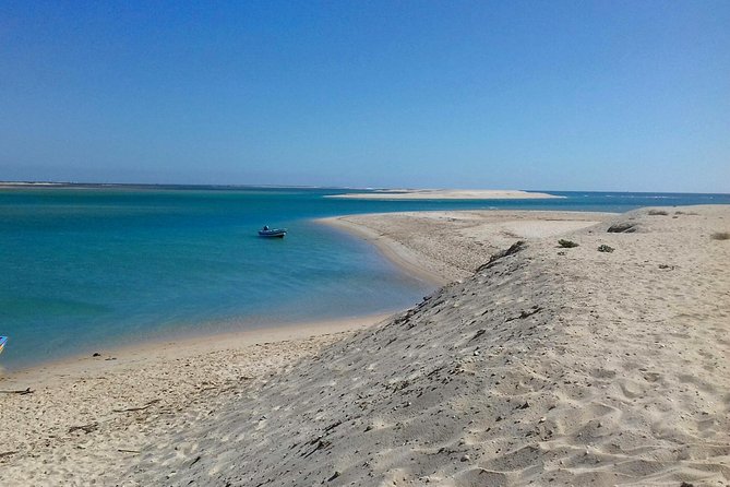 2-hour Bird Watching Guided Boat Trip in Ria Formosa from Faro Algarve - Tips to get more birds during your 2 hours (without stressing out)