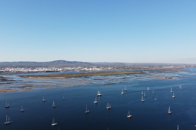 2 Hours Boat Tour Fishermen's Route in Ria Formosa - Skipper and guide know-how: safety plus real talk