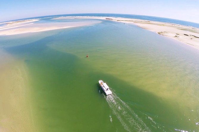 2 Hours Boat Tour in Ria Formosa - A 2-hour taste of Ria Formosa, not a full day commitment
