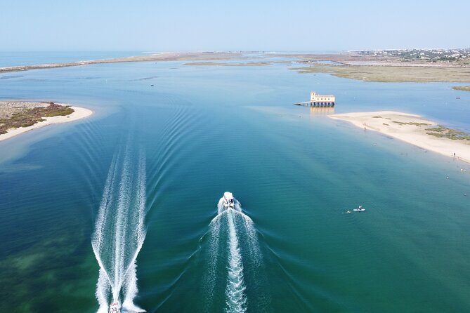 2 Hours Boat Tour in Ria Formosa - Wildlife expectations in Ria Formosa: set them realistically