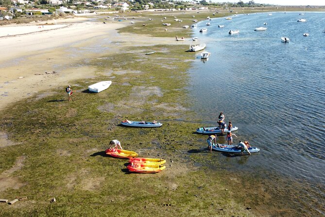 2 Hours Kayak Island Tour in the Natural Park of Ria Formosa - Price and Value: What $64 Buys You Here