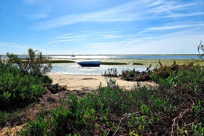 2 Hours Kayak Island Tour in the Natural Park of Ria Formosa - What You Do in Two Hours: The Rhythm of a Lagoon Paddle