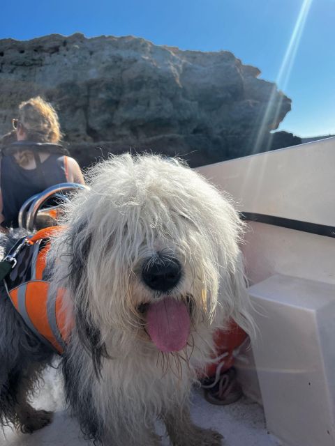 2 Hours Private Benagil Caves and Beaches Boat Tour - Who Should Book This Boat Tour, and Who Should Skip It