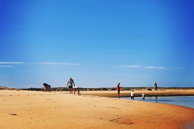 3 Hour Boat Tour in Ria Formosa - Second Ilha da Culatra stop: a deserted beach break for sun and swim