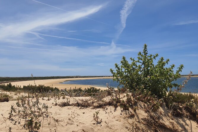3 Hour Boat Tour in Ria Formosa - What to bring: the simple kit for 3 hours on lagoon water