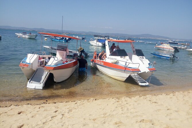 3 Hour Boat Tour in Ria Formosa - Tide tips: when you want to see oyster pits, plan smarter