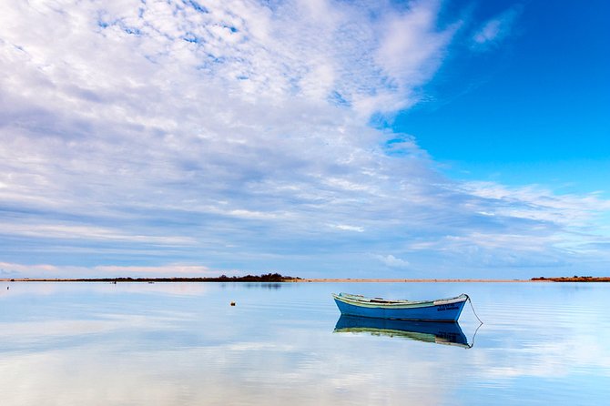 3-Hour Boat Tour in Ria Formosa on Olhão Algarve - The tidal reality: why bird sightings can depend on timing