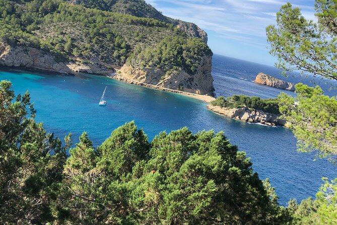 3 Hour Boat Trip to Ponta da Piedade - Should you book the 3 Hour Boat Trip to Ponta da Piedade?