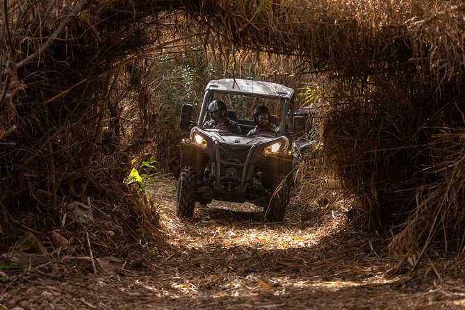3-hour tour by Buggy or Quad in the Algarve - Who This Tour Fits Best, and Who Might Want a Different Day