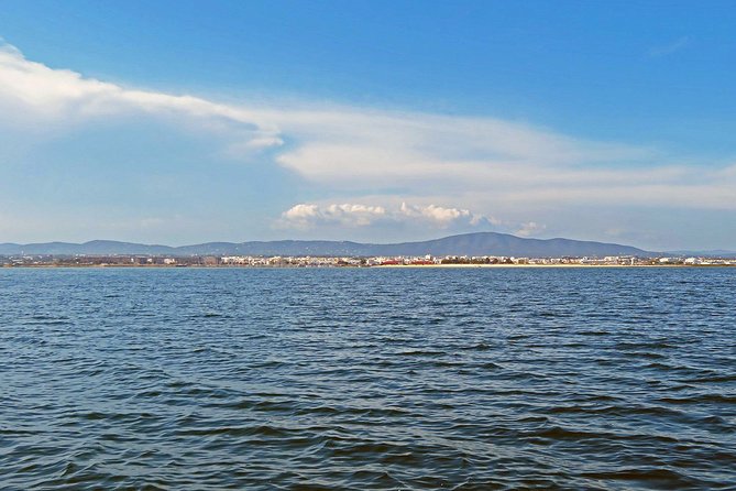 4-Hour Private Boat Tour in Ria Formosa - Ria Formosa Is Not Your Usual Algarve Coast