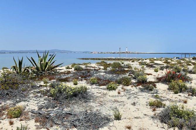 4-Hour Private Boat Tour in Ria Formosa - The Real Value of a Private 4-Hour Boat