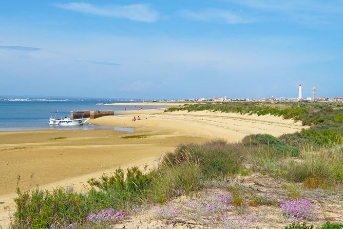 4-Hour Private Boat Tour in Ria Formosa - Swimming in the Lagoon: Calm Water, Real Temperatures