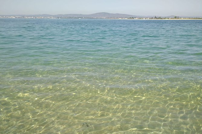 4-Hour Private Boat Tour in Ria Formosa - Stop 1: Ria Formosa Natural Park Cruise and Wildlife Sightlines