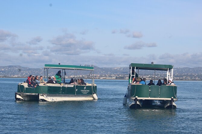 4 Stops | 3 Islands & Ria Formosa Natural Park - From Faro - Farol Island and the lighthouse walk where lagoon meets ocean