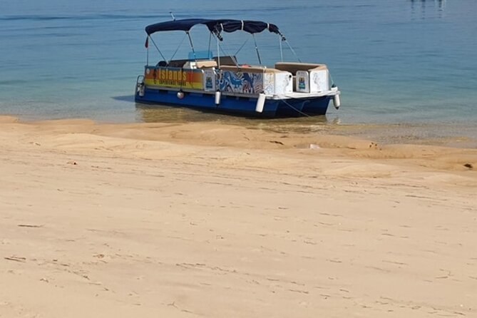 5-hour tour with 3 stops around the islands and beaches of Ria Formosa - Ria Formosa Natural Park in 5 hours: how this day really works