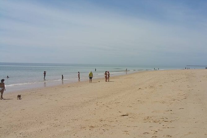 5-hour tour with 3 stops around the islands and beaches of Ria Formosa - Stop three: marsh walks and wildlife watching, tide-driven and seasonal
