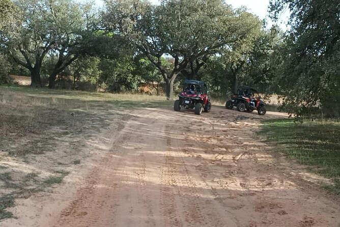 Albufeira 1.5 hour Off-Road Tour Buggy Adventure Tour - Price and Deposits: When This Feels Like a Bargain, and When It Doesn’t