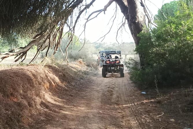 Albufeira 1.5 hour Off-Road Tour Buggy Adventure Tour - What to Bring to Stay Comfortable (and Not Hate Your Photos)