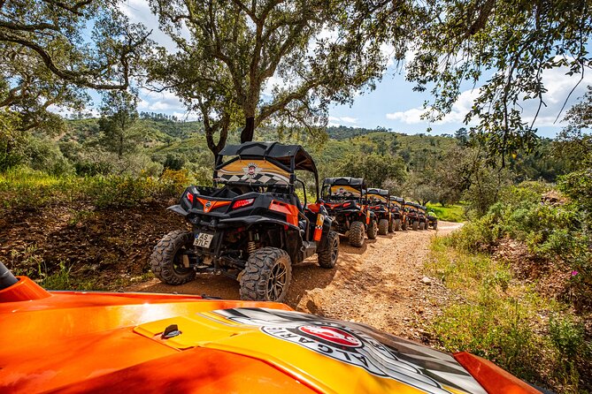 Albufeira: 1.5h Off-Road Buggy Tour - Dirt & Scenic Trails - Timing and weather: when the countryside ride makes sense