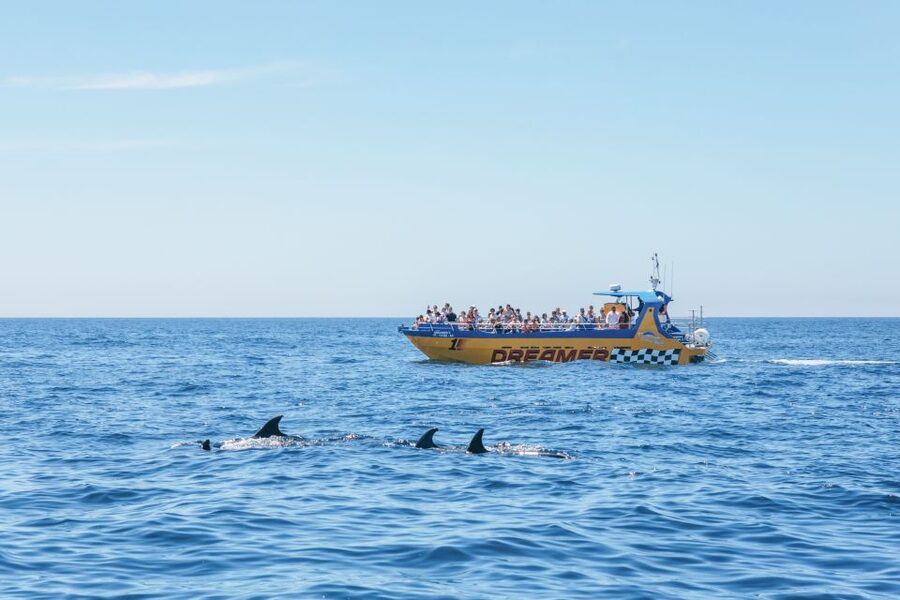 Albufeira: 2.5-Hour Benagil Caves & Dolphin Watching - The swim stop: bring your towel, but watch the sea conditions