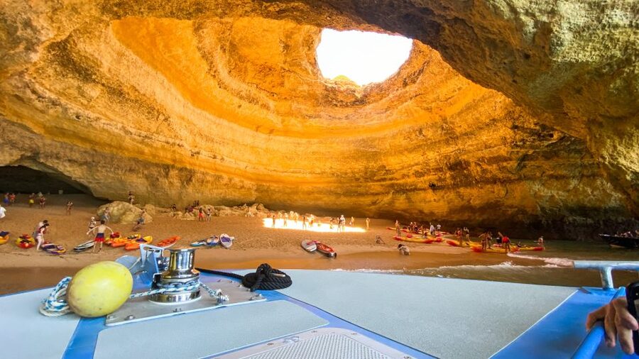 Albufeira: 2.5-Hour Dolphin Watching and Caves Trip - Price Value at $41 and Who This Trip Fits Best
