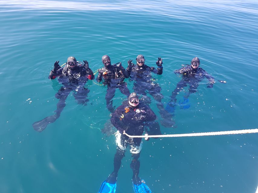 Albufeira: 2 DIVES TRIP (ONLY CERTIFIED DIVERS) - Key Highlights You Will Feel Quickly