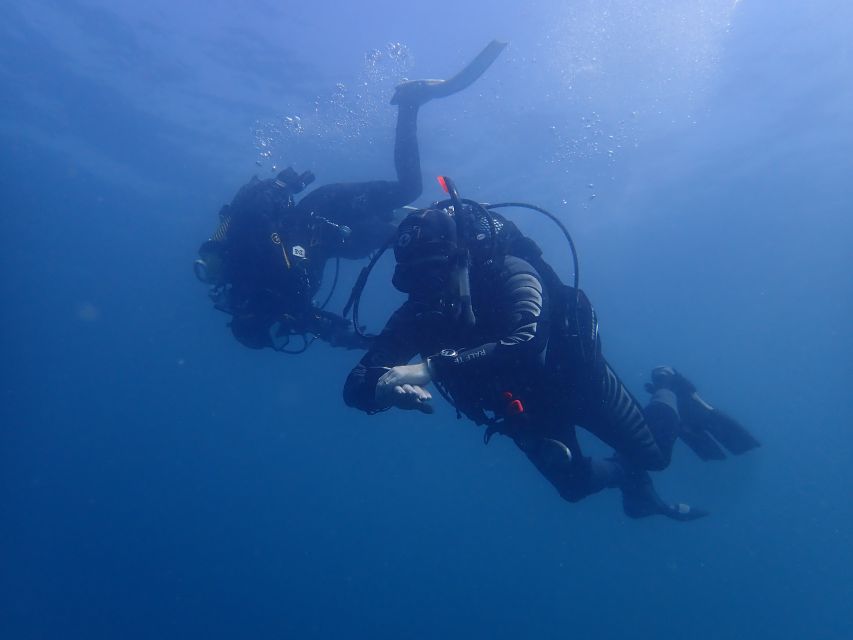 Albufeira: 2 DIVES TRIP (ONLY CERTIFIED DIVERS) - Why Albufeira Reefs Work Well for Certified Scuba Divers