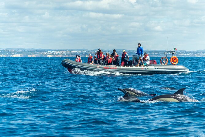 Albufeira 2 hour 30 minute Private Dolphin and Benagil Caves Tour - A private dolphins and Benagil tour that keeps the focus on the view