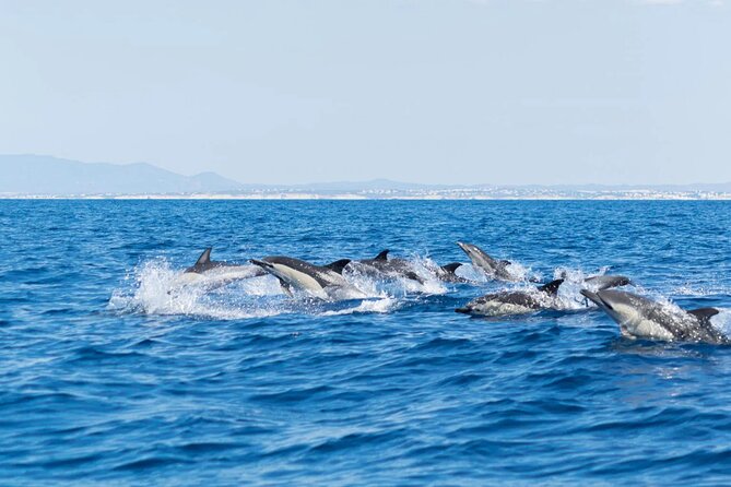Albufeira 2 hour 30 minute Private Dolphin and Benagil Caves Tour - Stop 3: Rib-boat cruising from São Rafael to Senhora da Rocha