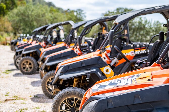 Albufeira: 3-Hour Off-Road Buggy Tour to Hidden Algarve Trails - Driver’s license rules you need to know before booking