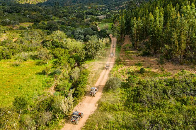 Albufeira: 3-Hour Off-Road Buggy Tour to Hidden Algarve Trails - How the driving feels across rocky paths, mud, and descents
