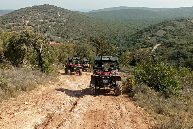 Albufeira 3 hour Off-Road Tour Buggy Adventure Tour - The Return Ride: Off-Road Tracks Again, With a Different Energy