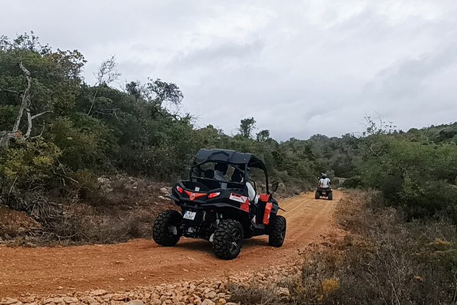 Albufeira 3 hour Off-Road Tour Buggy Adventure Tour - How Fast Is It, Really? And Who This Suits Best