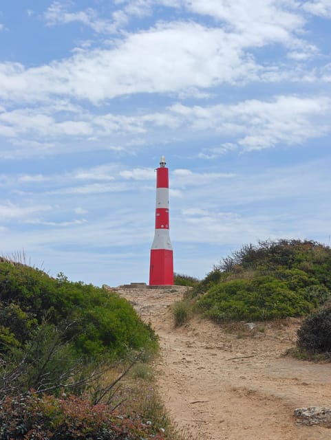 Albufeira: Albufeira Marina & west coast Tour 1.5h - Sunset potential on the west coast, and how to time it
