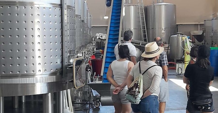 Albufeira: Algarve Coast Guided Tour with Wine Tasting - Starting In Albufeira: Marina, Lighthouse, and Fast Orientation