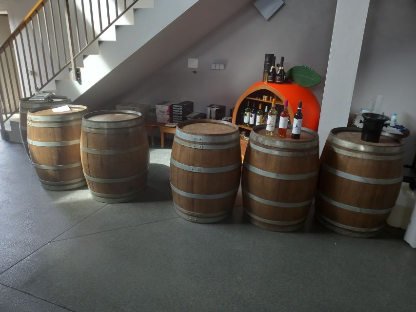 Albufeira: Algarve Coast Guided Tour with Wine Tasting - Private Tour Value: Why $88 Can Make Sense Here
