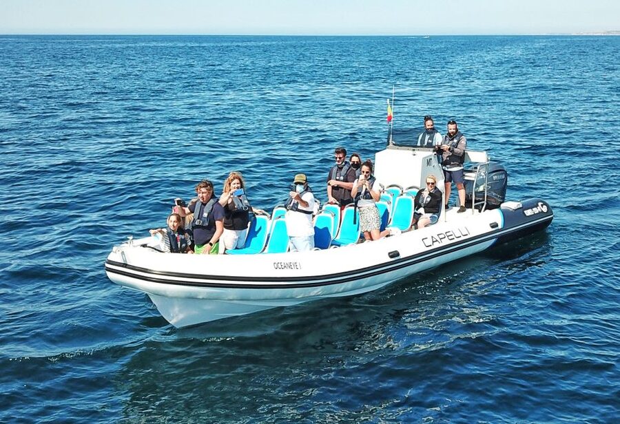 Albufeira: Benagil Cave and Dolphin Sightseeing Boat Cruise - Who should book this Albufeira Benagil and dolphin cruise