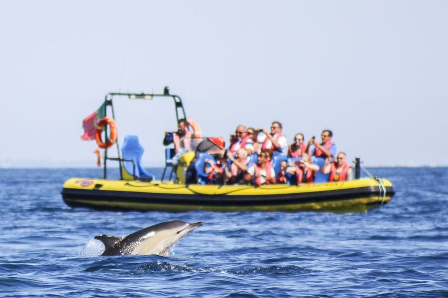 Albufeira: Benagil Caves & Dolphin Watching Speed Boat Tour - Speedboat Start at Marina de Albufeira: Quick Check-In, Then Out to Sea