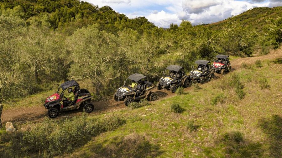 Albufeira: Buggy Adventure through the Algarve Hidden Gems - Quinta do Goji stop: a scenic breather at the end