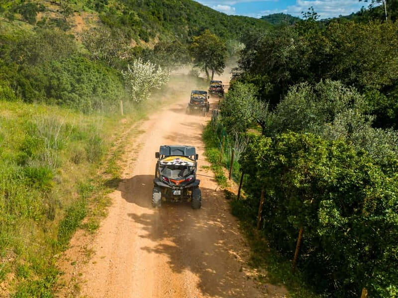 Albufeira: Buggy Adventure through the Algarve Hidden Gems - Price and value: what 206 USD per group really buys