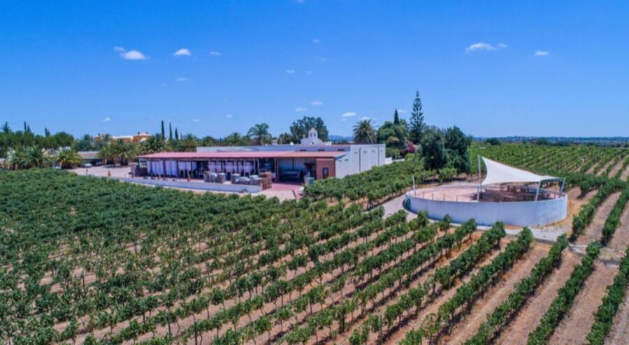 Albufeira Coast Tour, Winery & Delicious Chicken lunch - What Makes It Feel Worth Your Time
