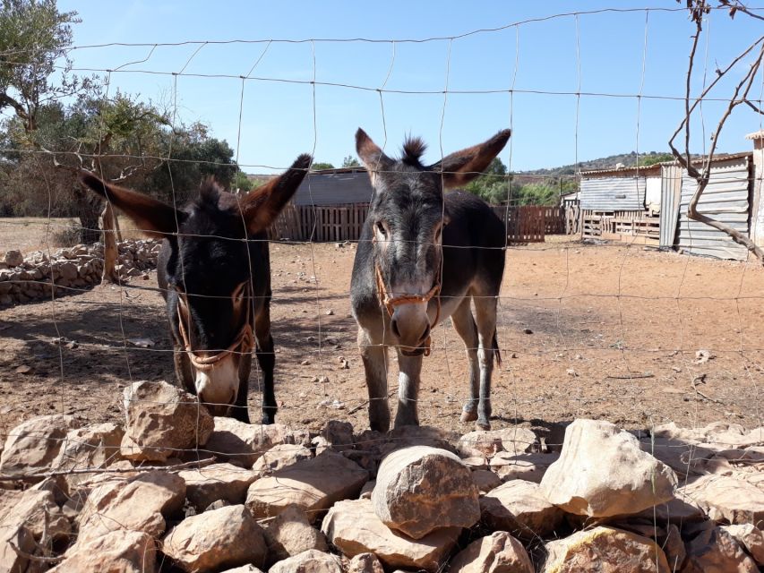 Albufeira Countryside Tuk Tuk Tour - Ferreiras, Castle of Paderne, and the start of real Algarve geography