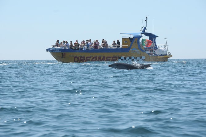 Albufeira Dreamer Boat Trip - The Lighthouse Stop: Farol de Alfanzina and Why It’s Not Just a Detour