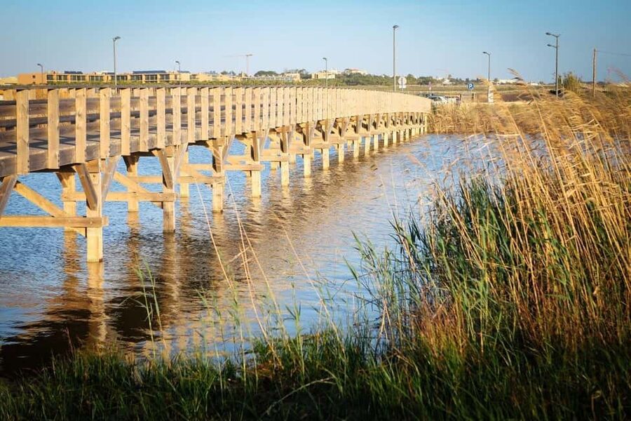 Albufeira: E-Bike tour of Nature Trails and Tradition - Key Highlights You Should Know