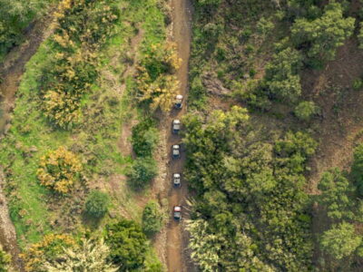 Full-Day Buggy Tour with Lunch